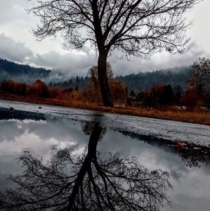 Meet your Posher, Shea